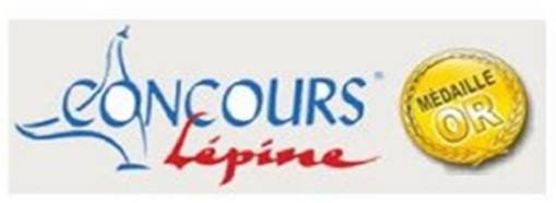 Fabricant français de brûleur à granulés pour insert dans cheminée Nantes 44