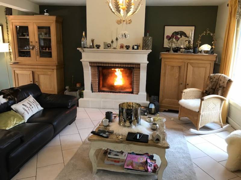 Dans votre séjour voilà l'alternative aux bûches